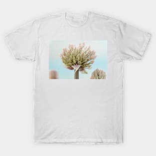 Allium karataviense   AGM  Kara Tau garlic T-Shirt